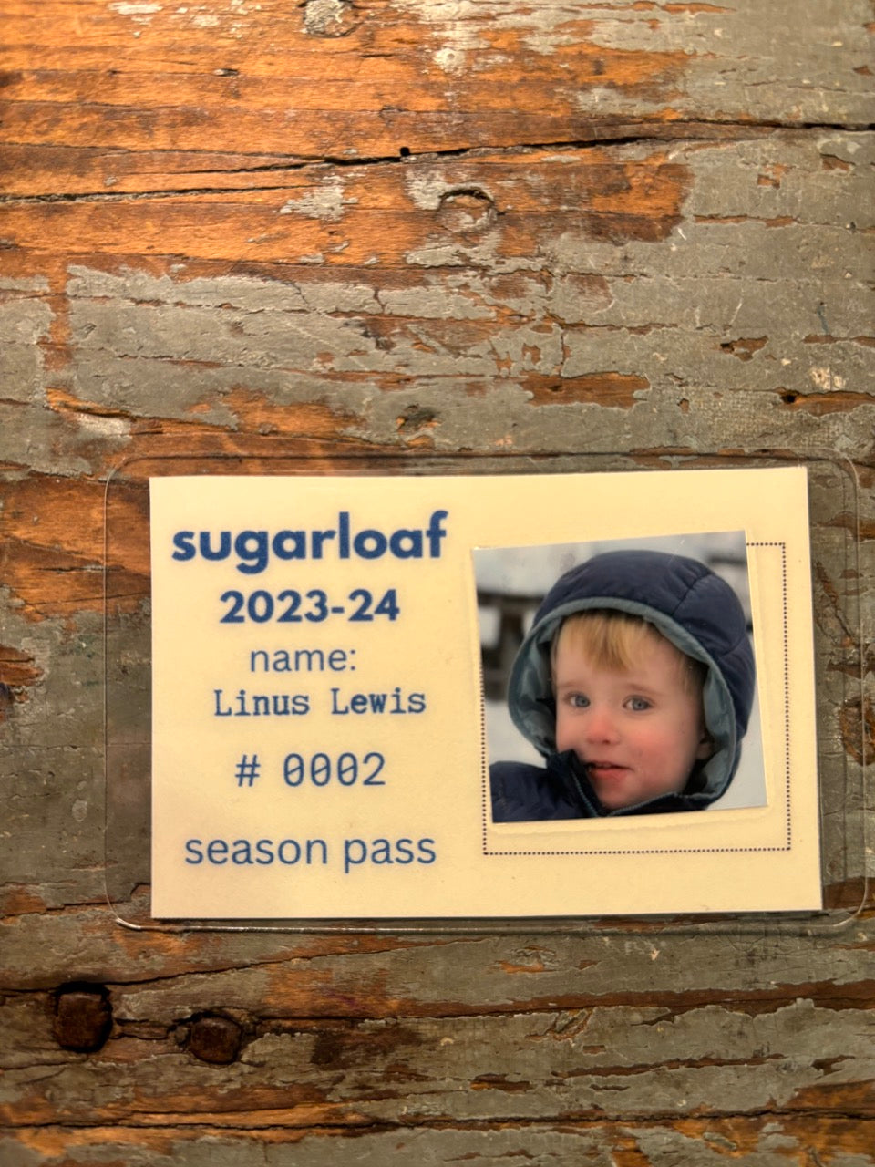 Vintage Ski Pass - Horizontal Format