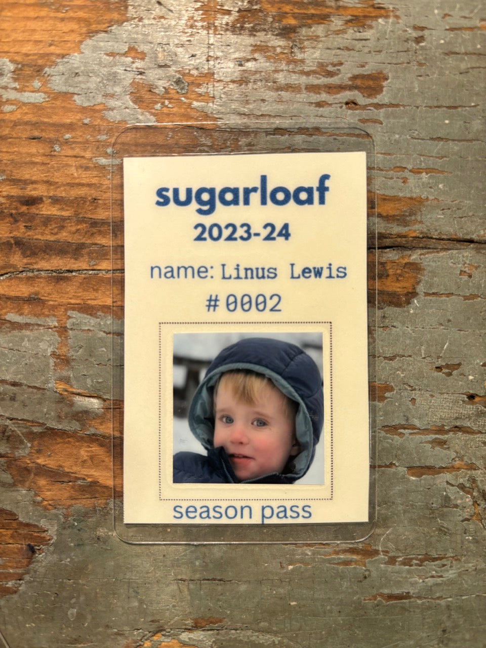 Vintage Ski Pass - Vertical Format